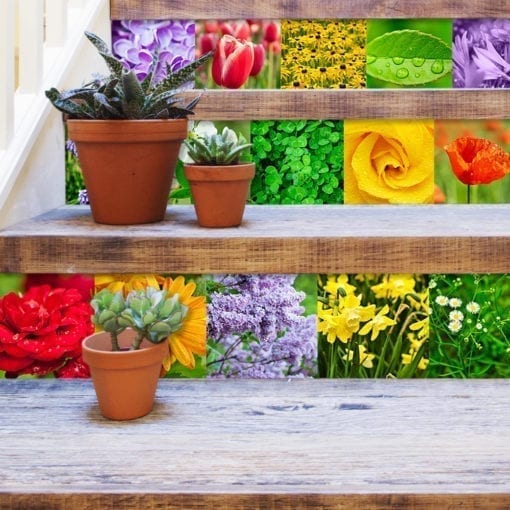 Color Nature Revestimento de Azulejos - Escadas