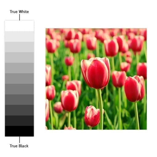 Color Nature Revestimento de Azulejos - Espectro de Cores
