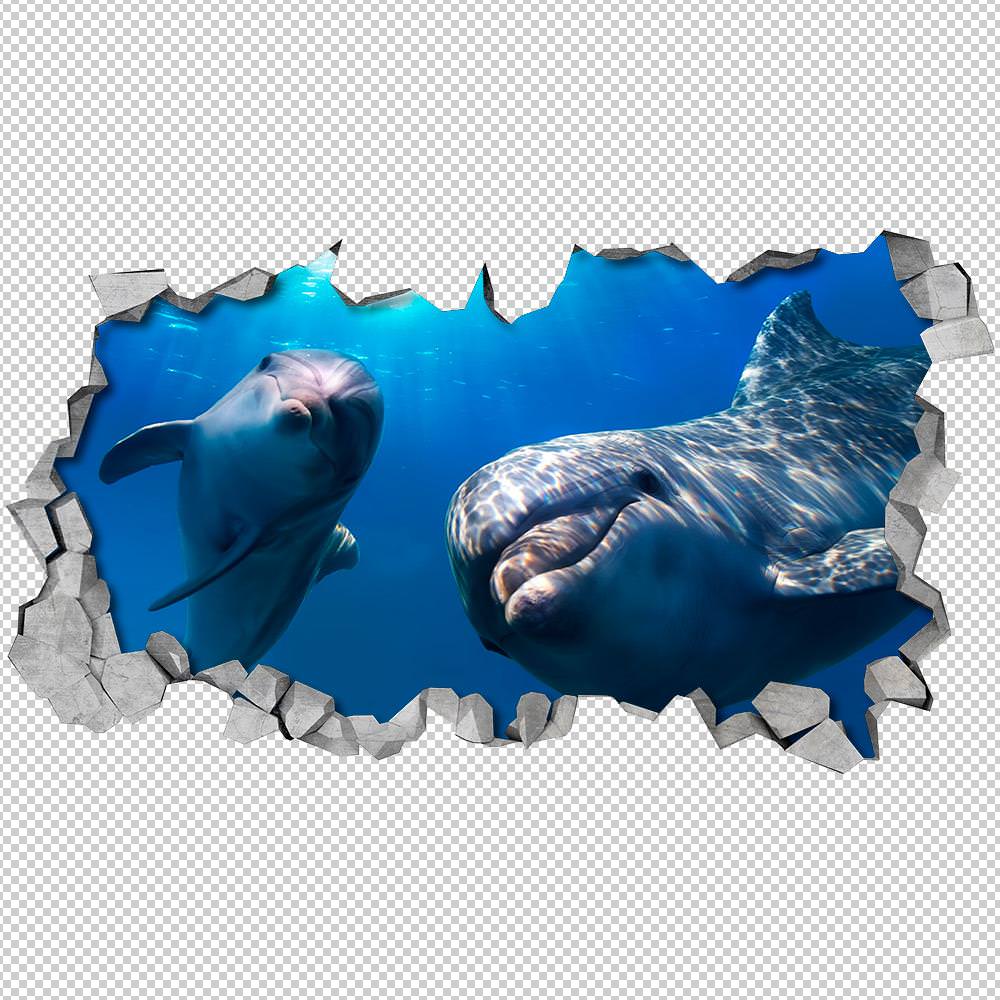 Olá Golfinhos Efeito Parede Partida Detalhes
