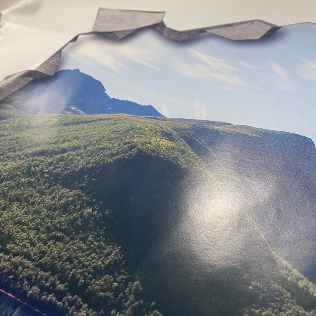Casadart | Vinis Autocolantes, Papel de Parede e Painéis Decorativos