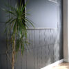 IMG_3644 copy | Casadart | Vinis Autocolantes, Papel de Parede e Painéis Decorativos Tall indoor plant with long green leaves beside a dark gray paneled wall and light-colored floor edge