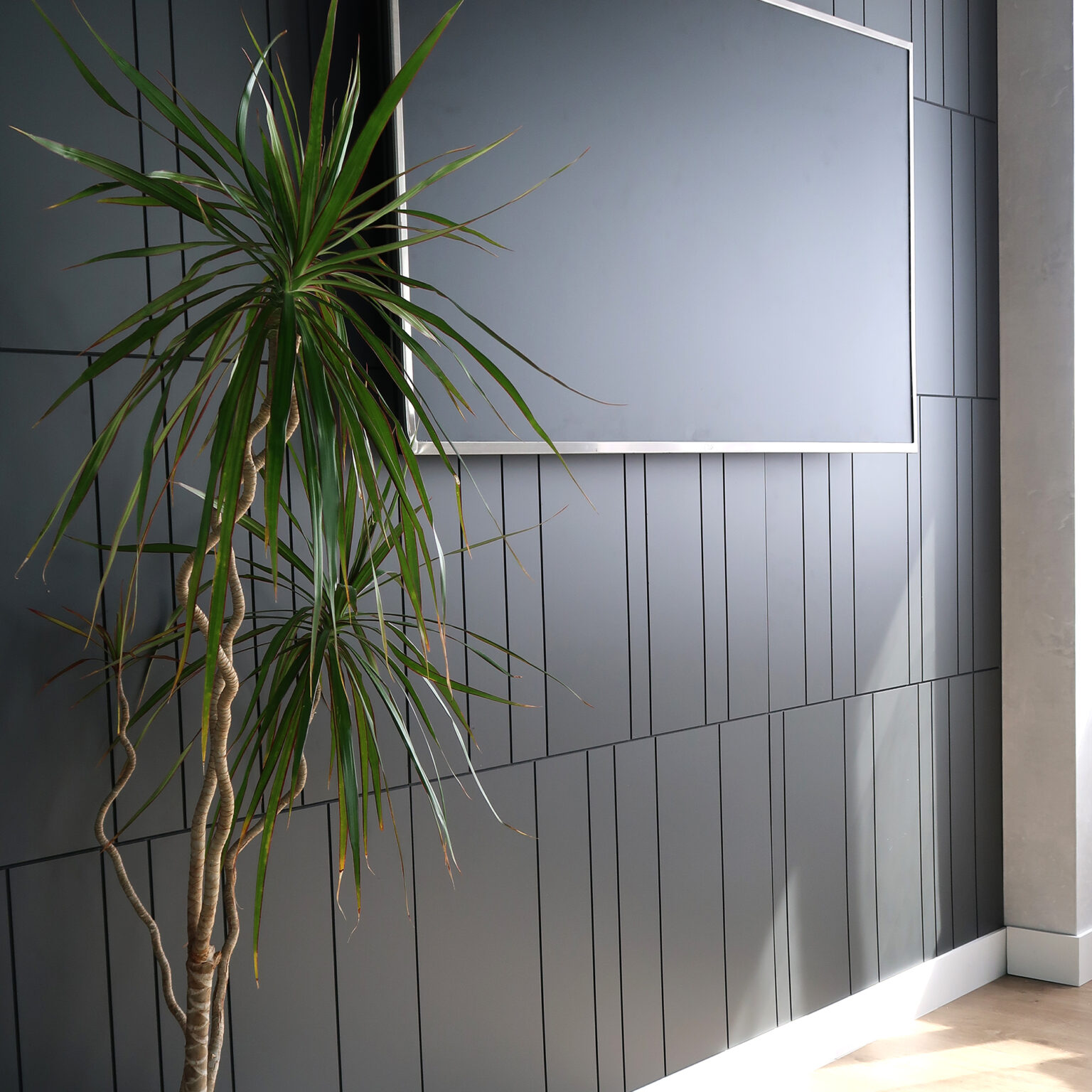 Tall indoor plant with long green leaves beside a dark gray paneled wall and light-colored floor edge