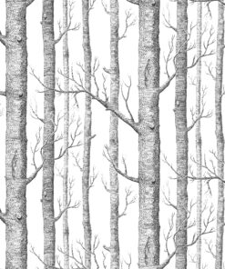 Black-and-white illustration of a dense forest with tall, bare tree trunks and intertwining branches.
